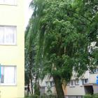zdjęcie nr 33