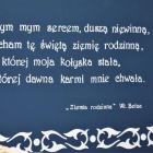zdjęcie nr 69