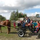 zdjęcie nr 42