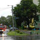 Fotka nr 2 z 34
