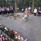 zdjęcie nr 28