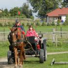 zdjęcie nr 37