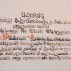 zdjęcie nr 9