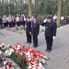 zdjęcie nr 38