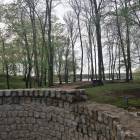 zdjęcie nr 9