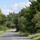 Fotka nr 5 z 12